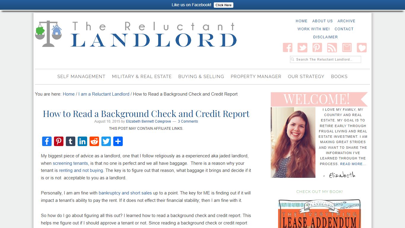 How to Read a Background Check and Credit report - The Reluctant Landlord